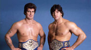 Tony Garea & Rick Martel (November 8, 1980 - March 7, 1981)