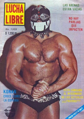 Lucha Libre 1309