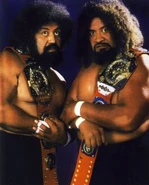 The Wild Samoans (March 8, 1983 - November 15, 1983)