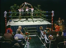 12-18-84 TNT 1
