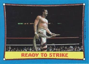 1987 WWF Wrestling Cards (Topps) Ready To Strike (No.24)
