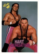 1990 Classic WWF Hart Foundation (No.38)