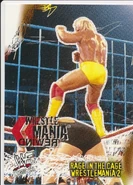 2001 WWF WrestleMania (Fleer) Rage in the Cage (No.83)