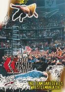 2001 WWF WrestleMania (Fleer) Tag Team Daredevils 100