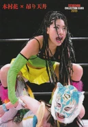 2019 Stardom Collection Card Hana Kimura (No.122)
