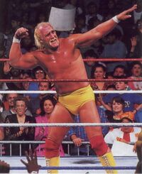 Hulkamania