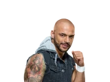 Ricochet