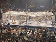WrestleWar 1991.00047.jpg (33 KB)