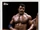 2015 WWE Heritage Wrestling Cards (Topps) Rocky Johnson (No.39)