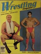 The Ring Wrestling - November 1980