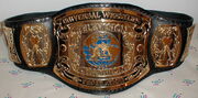 UWF TV Champion