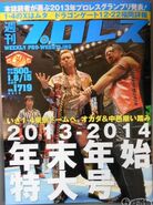 Weekly Pro Wrestling No. 1719 January 8-15, 2014