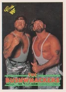 1990 Classic WWF The Bushwhackers (No.15)