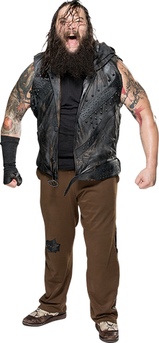 Bray Wyatt/Image gallery, Pro Wrestling