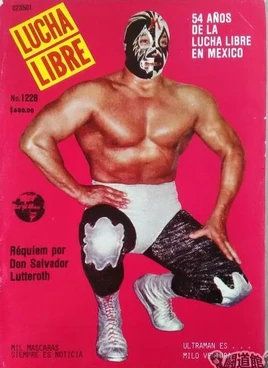 Lucha Libre 1228