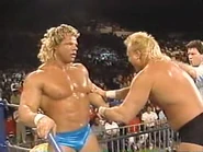 WrestleWar 1991.00030.jpg (21 KB)