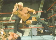 2007 WWE Action (Topps) Ric Flair (No.24)
