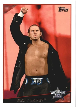 2009 WWE (Topps) Matt Hardy 82