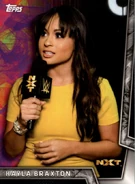 2018 WWE Women’s Division (Topps) Kayla Braxton (No.39)