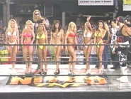 3-22-99 Nitro 8.jpg (17 KB)
