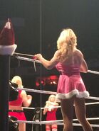 WWE House Show (Dec 29, 14') 5