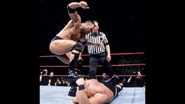 WrestleMania 15.23.jpg (21 KB)