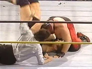 WrestleWar 1991.00021.jpg (19 KB)