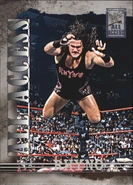2002 WWF All Access (Fleer) Rhyno (No.20)