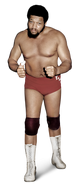 Ernie Ladd Full