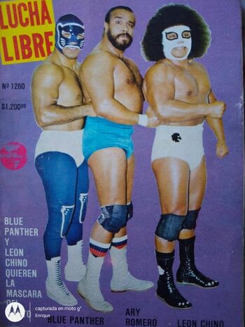 Lucha Libre 1260