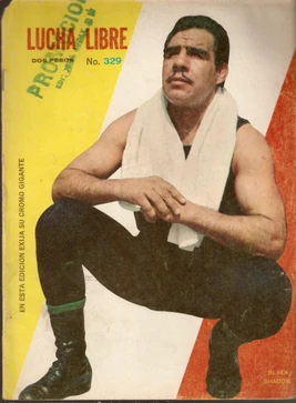 Lucha Libre 329