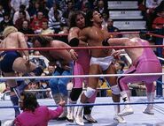 Royal Rumble 1988.5