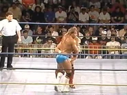 WrestleWar 1991.00033.jpg (25 KB)