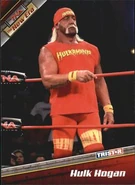2010 TNA New Era (Tristar) Hulk Hogan (No.7)