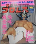 Weekly Pro Wrestling No. 635 October 11, 1994