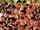 BJW (July 10, 2021)