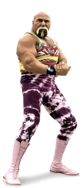 billy graham wrestler