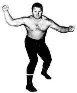 Larry Hennig 6