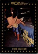 1991 WCW Collectible Trading Cards (Championship Marketing) Sting in Action (No.109)