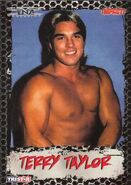 2008 TNA Impact (Tristar) Terry Taylor (No.67)