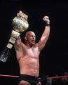 Steve Austin 46th Champion (March 28, 1999 - May 23, 1999)