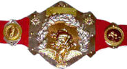 Original WWF IC Belt