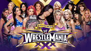 Divas Invitational Match