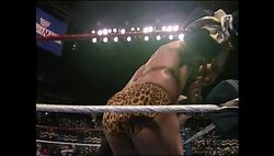 wrestlemania 7 undertaker vs jimmy snuka