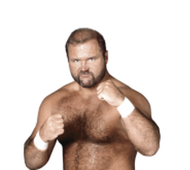 Wwe arn anderson cheap