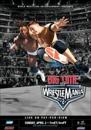 WrestleMania XXII (22)