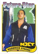 2018 WWE Heritage Wrestling Cards (Topps) Roderick Strong (No.108)
