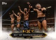 2020 WWE NXT (Topps) DIY-Moustache Mountain (No.99)