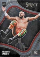 2022 WWE (Panini Select) Ashton Smith (No.271)