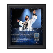 Bobby Roode Hell In A Cell 2017 15 x 17 Framed Plaque w Ring Canvas